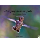 Elie, prophète en fuite - Jean-Marie Ribay - CD ou DVD