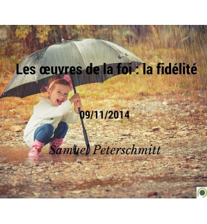 Les œuvres de la foi (5) la fidélité - Samuel Peterschmitt - CD ou DVD