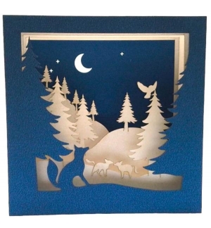CARTE RENARD 3D