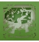 CARTE CACATOES 3D