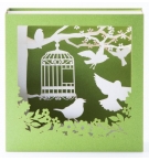 Carte CAGE OISEAU 3D
