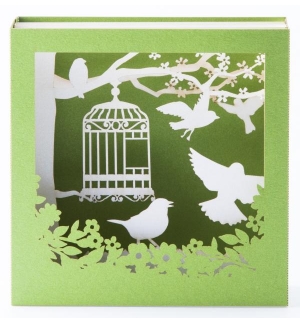 Carte CAGE OISEAU 3D