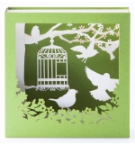 Carte CAGE OISEAU 3D
