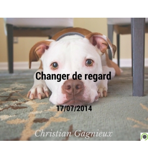 Changer de regard - Christian Gagnieux - CD ou DVD