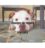 Changer de regard - Christian Gagnieux - CD ou DVD