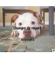 Changer de regard - Christian Gagnieux - CD ou DVD
