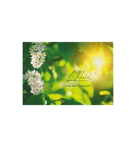 Carte Paques