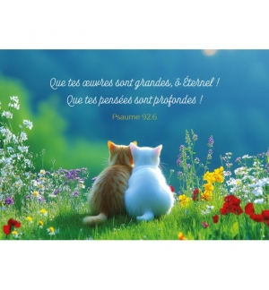 Carte avec verset Deux chatons assis côte à côte