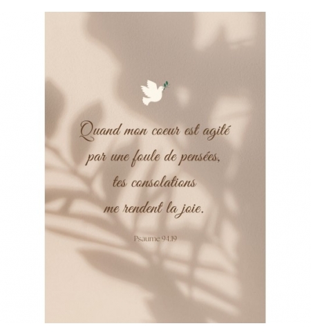 Carte avec verset Colombe et ombre de branches sur mur beige