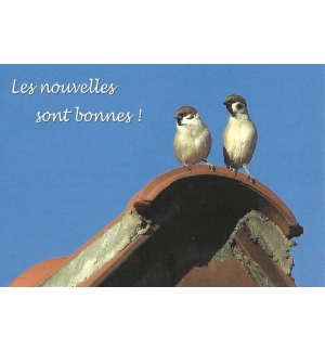Carte "Divers"