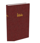 Bible Darby grand format, rigide brun-rouge