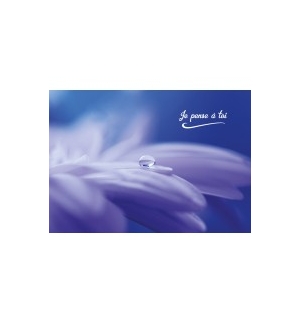Carte Avec Message Goutte d'eau sur une fleur...
