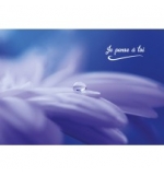 Carte Avec Message Goutte d'eau sur une fleur...