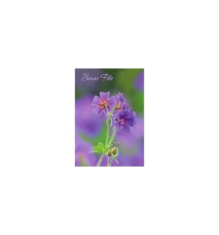 Carte Avec Message primevères mauves (Bonne Fête) Carte Avec Message primevères mauves (Bonne Fête)