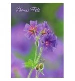 Carte Avec Message primevères mauves (Bonne Fête)