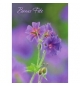 Carte Avec Message primevères mauves (Bonne Fête)