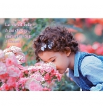 Carte Citation Fillette sentant buisson de roses