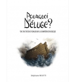 Pourquoi le déluge ?  - Stéphane Rigotti