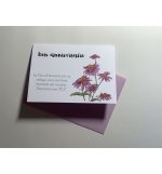 Carte Double Anniversaire - Echinacée verset Deutéronome 33v27