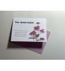 Carte Double Anniversaire - Echinacée verset Deutéronome 33v27