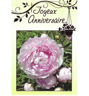 Carte "Anniversaire"