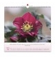 Calendrier Floréus 2026