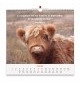 Calendrier Nos amis les animaux 2026