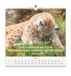 Calendrier Nos amis les animaux 2026