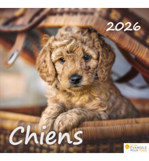 Calendrier chiens 2026 - A poser - 12 photos couleurs avec versets