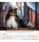 Calendrier chiens 2026 - A poser - 12 photos couleurs avec versets