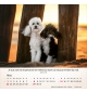 Calendrier chiens 2026 - A poser - 12 photos couleurs avec versets