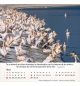 Calendrier Israël shalom 2026 - A poser - 12 photos couleurs avec versets