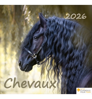 Calendrier chevaux 2026 - A poser - 12 photos couleurs avec versets