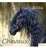 Calendrier chevaux 2026 - A poser - 12 photos couleurs avec versets