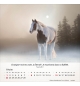 Calendrier chevaux 2026 - A poser - 12 photos couleurs avec versets