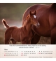 Calendrier chevaux 2026 - A poser - 12 photos couleurs avec versets