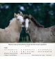 Calendrier chevaux 2026 - A poser - 12 photos couleurs avec versets