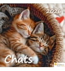 Calendrier Chats 2026 - A poser - 12 photos couleurs avec versets