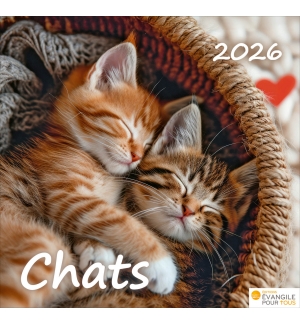 Calendrier Chats 2026 - A poser - 12 photos couleurs avec versets