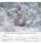 Calendrier Chats 2026 - A poser - 12 photos couleurs avec versets
