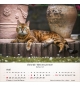 Calendrier Chats 2026 - A poser - 12 photos couleurs avec versets
