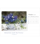 Calendrier délices 2026 - A poser 12 photos de fleurs avec versets