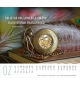 Calendrier merci 2026 - A poser ou à suspendre