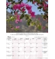 Calendrier Israël 2026 - A suspendre 1 case par jour avec 12 photos