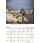 Calendrier Israël 2026 - A suspendre 1 case par jour avec 12 photos
