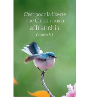 Carte calendrier Oiseau 2026  5,5 x 8,5 cm