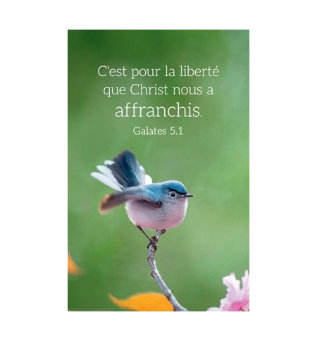 Carte calendrier Oiseau 2026  5,5 x 8,5 cm