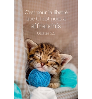 Carte calendrier Chat 2026 5,5 x 8,5 cm.