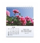 Calendrier Floralies 2026