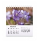 Calendrier Floralies 2026